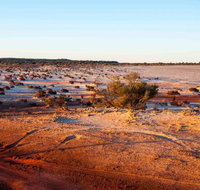 Mozie's Truckstop  Diner - ACT Tourism