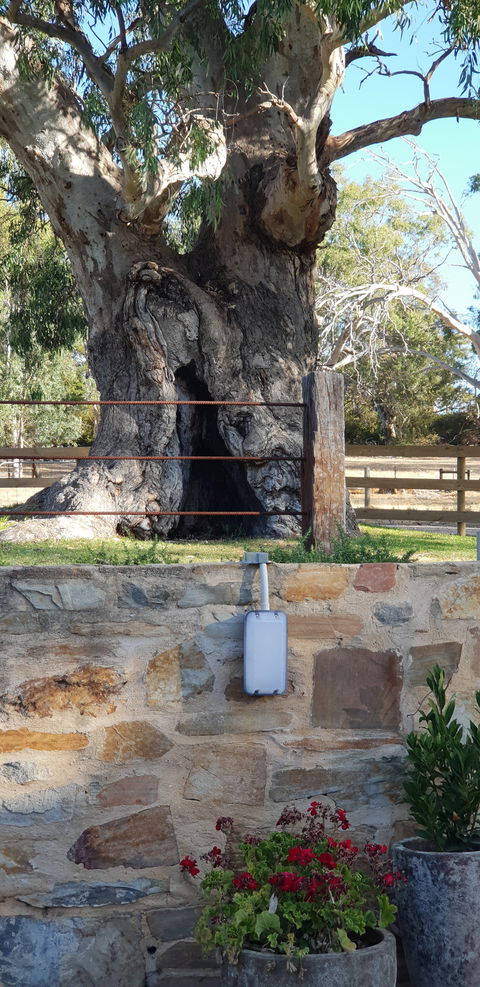 The Greenman Inn - ACT Tourism 1