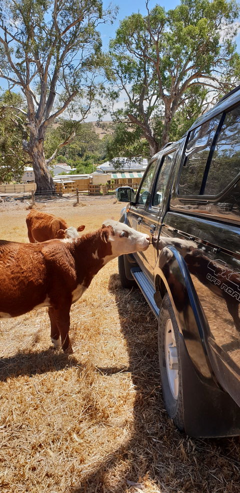 The Greenman Inn - ACT Tourism 2