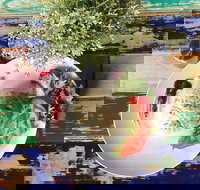 Wake Me Up - ACT Tourism