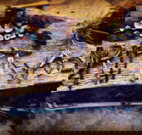 Driftwood Cafe - ACT Tourism