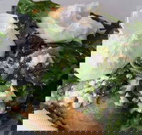 Jolt Bakery Cafe - ACT Tourism