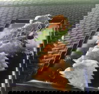 Three Black Sheep Cafe - ACT Tourism