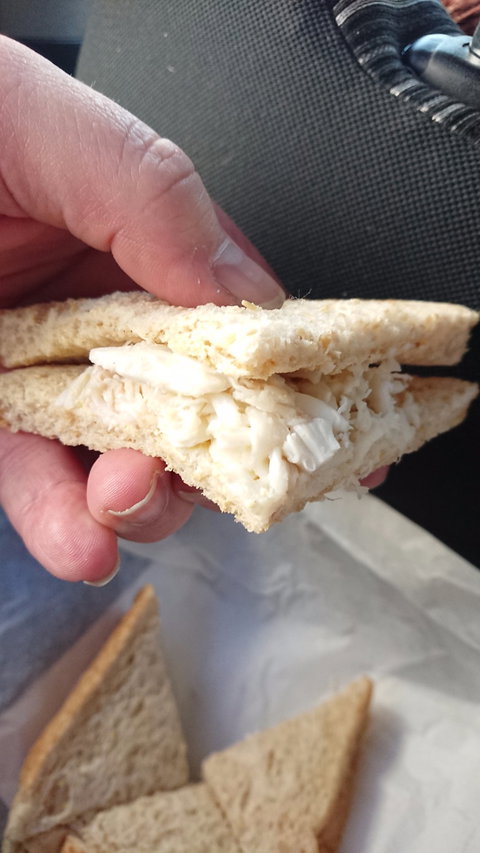 Travellers Rest Cafe - ACT Tourism 2