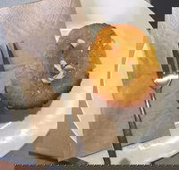 New Leaf Cafe Murwillumbah - ACT Tourism