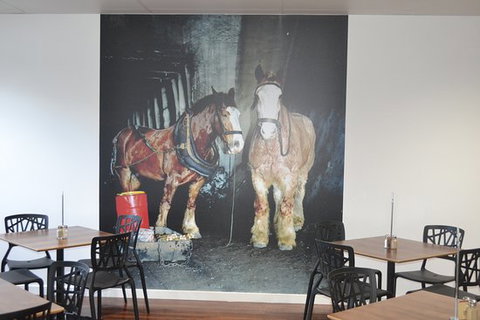 Pit Pony Hotel - ACT Tourism 0