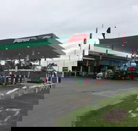 Puma Aratula - ACT Tourism