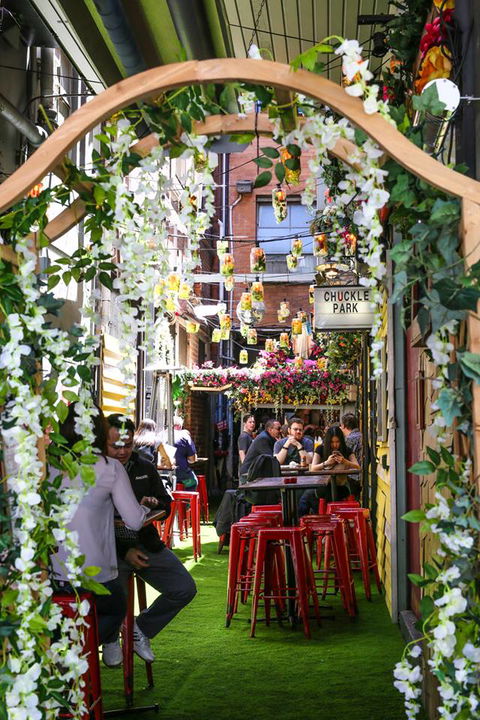 Chuckle Park Bar - ACT Tourism 4