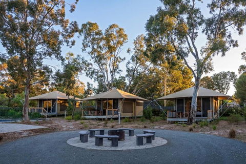 Discovery Parks Barossa Valley - ACT Tourism 0