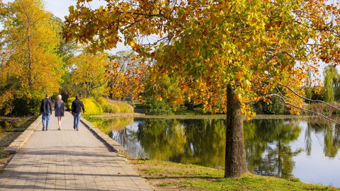 Crowne Plaza Canberra - ACT Tourism 17