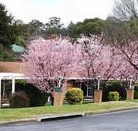 White Lanterns Motel - ACT Tourism