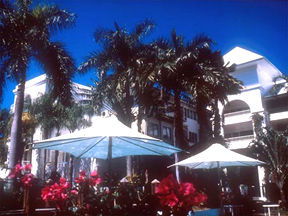 Alamanda Palm Cove - ACT Tourism 1