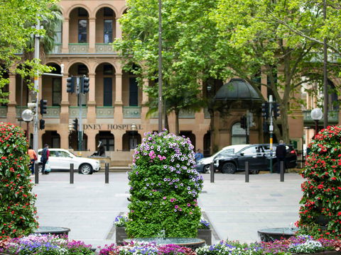 Mercure Sydney Martin Place - ACT Tourism 16