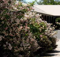 Wine Village Motor Inn - ACT Tourism