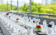 Shangri-La Hotel, The Marina - thumb 8