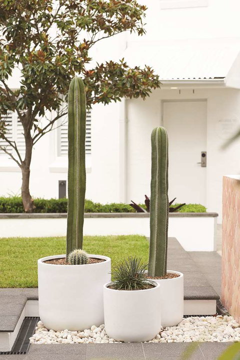 Adina Apartment Hotel Chippendale - ACT Tourism 0