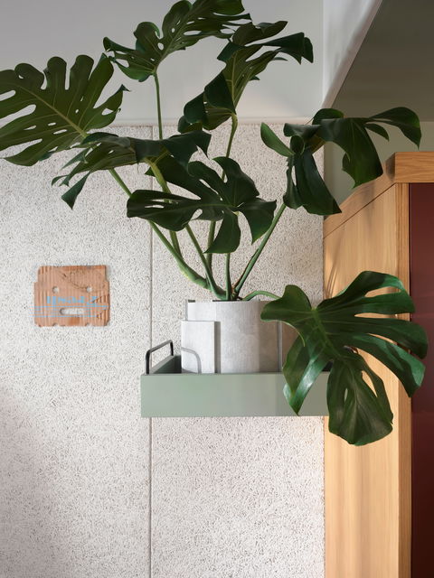 ACE Hotel Sydney - ACT Tourism 0