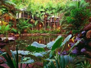 Daintree Eco Lodge & Spa - ACT Tourism 0