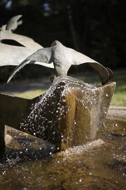 University House - ANU - ACT Tourism 30