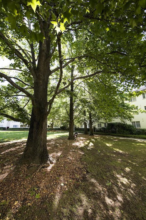 University House - ANU - ACT Tourism 28