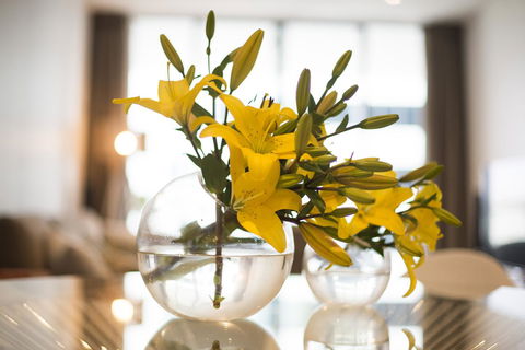 KUI - Manhattan Apartments - ACT Tourism 0