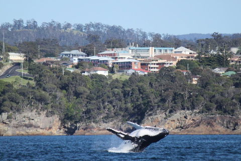 Heritage House Motel & Units - ACT Tourism 27
