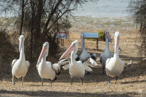 Mercure Kangaroo Island Lodge - ACT Tourism 15