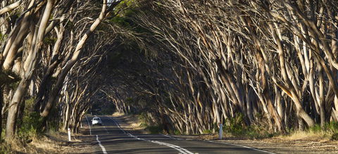 Mercure Kangaroo Island Lodge - ACT Tourism 40