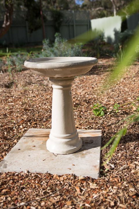 Cowan Street Bungalow - ACT Tourism 14
