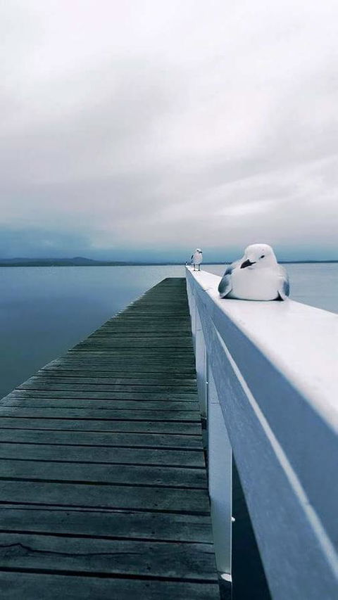 Lakeside Waterfront Apartment The Entrance - ACT Tourism 19