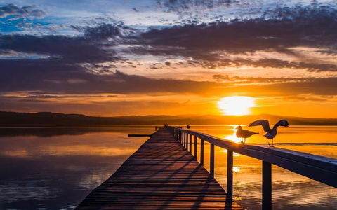 Lakeside Waterfront Apartment The Entrance - ACT Tourism 22