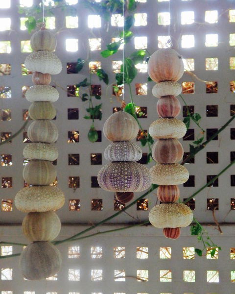 Driftwood On Dover - ACT Tourism 11