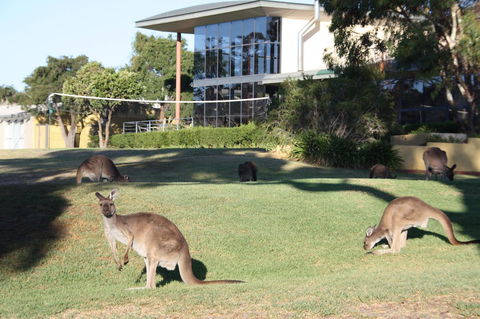 BreakFree Wirrina Cove - ACT Tourism 28