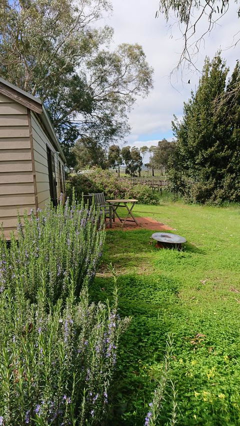 Lost In The Vines - ACT Tourism 22
