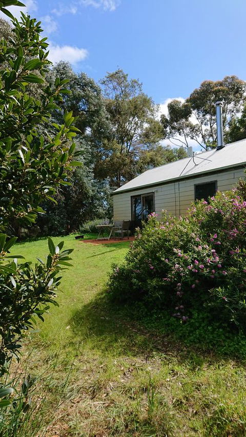 Lost In The Vines - ACT Tourism 26