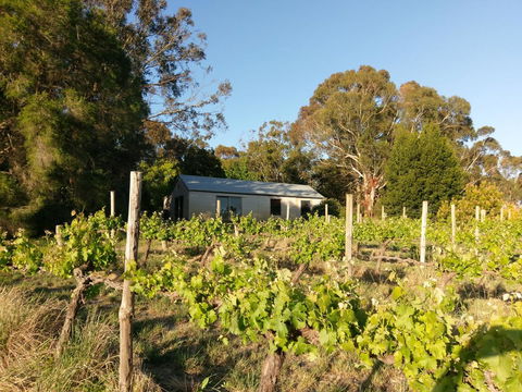 Lost In The Vines - ACT Tourism 25