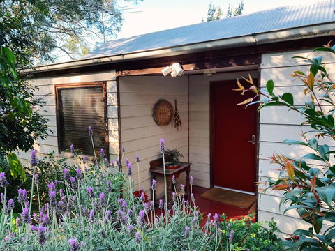 Lost In The Vines - ACT Tourism 13