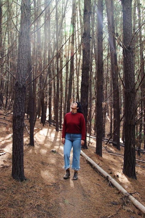 Lost In The Vines - ACT Tourism 19