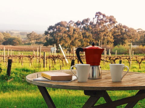 Lost In The Vines - ACT Tourism 1
