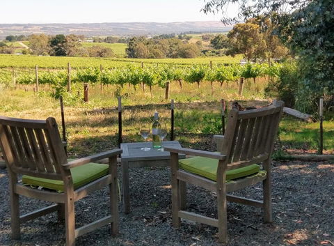 Lost In The Vines - ACT Tourism 23