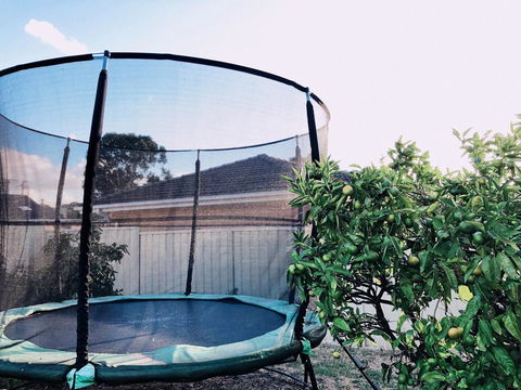 Beautiful Garden House - ACT Tourism 23