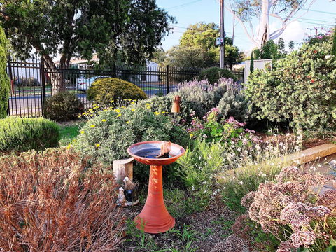 Beautiful Garden House - ACT Tourism 21