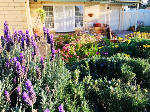 Beautiful Garden House - ACT Tourism 9