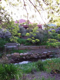 Book Willunga Accommodation Vacations ACT Tourism ACT Tourism