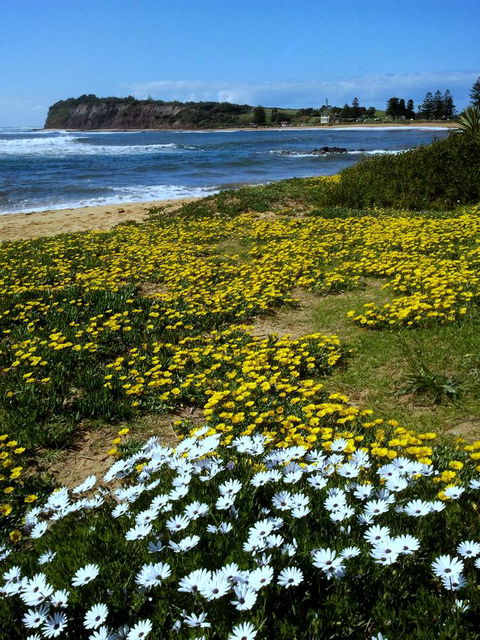 Serenity On Narrabeen Beach - 1Bdr Beachside Retreat - ACT Tourism 10