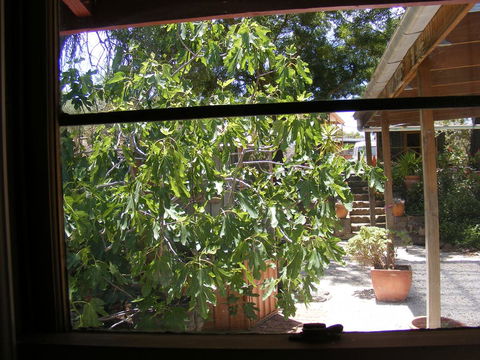 Trevalia Accommodation - ACT Tourism 4