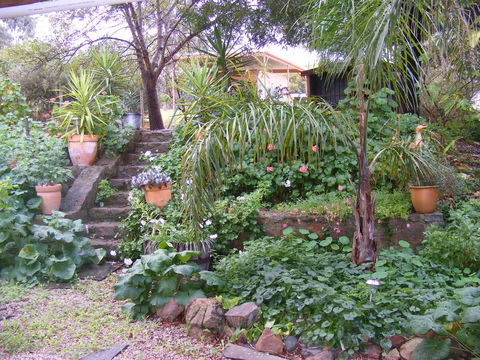 Trevalia Accommodation - ACT Tourism 12
