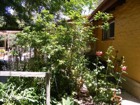 Trevalia Accommodation - ACT Tourism 7