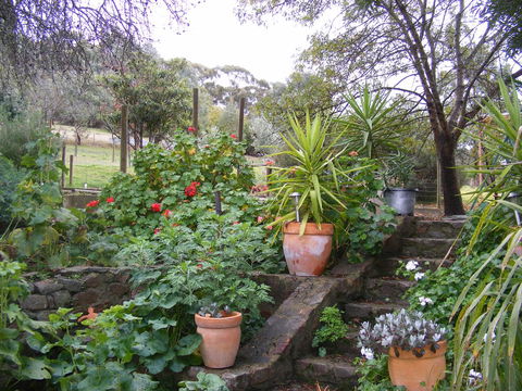 Trevalia Accommodation - ACT Tourism 13