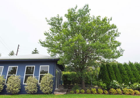 S T U D I O 22 Peaceful Retreat With Garden Views - ACT Tourism 11